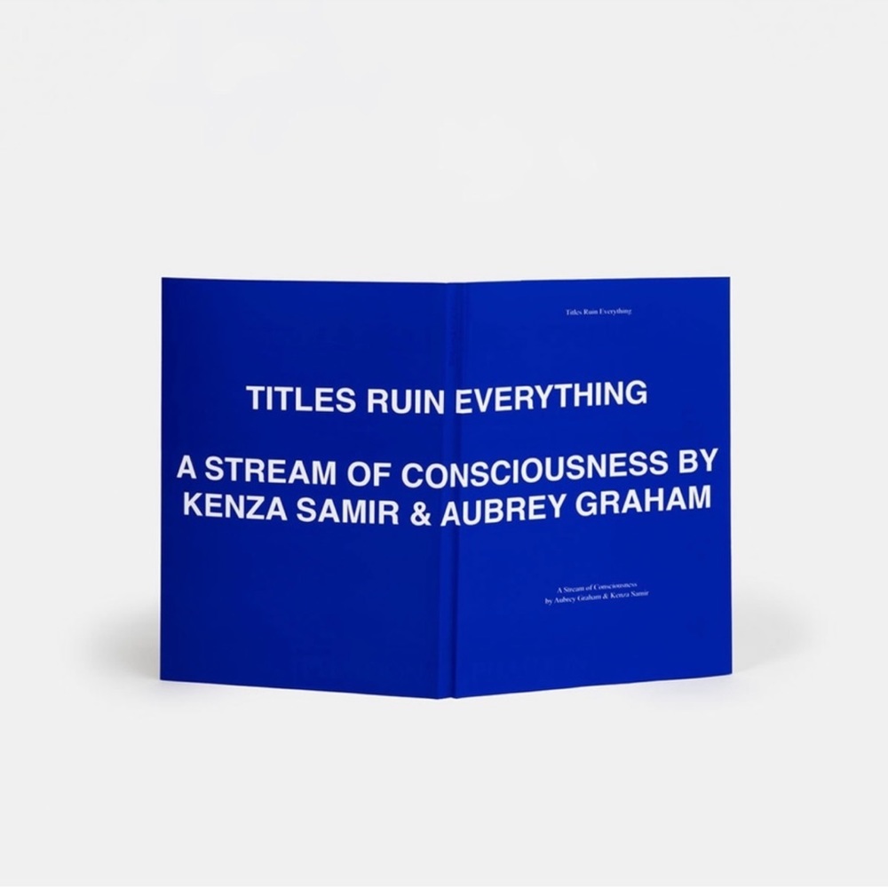 PHAIDON TITLES RUIN EVERYTHING: A STREAM OF CONSCIOUSNESS - Picture 2 of 4